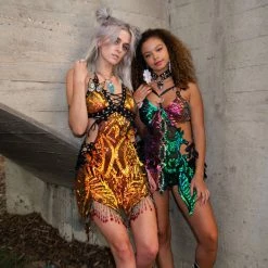 Disco Lemonade Monarch Butterfly JUST IN 9 Disco Lemonade Monarch Butterfly JUST IN